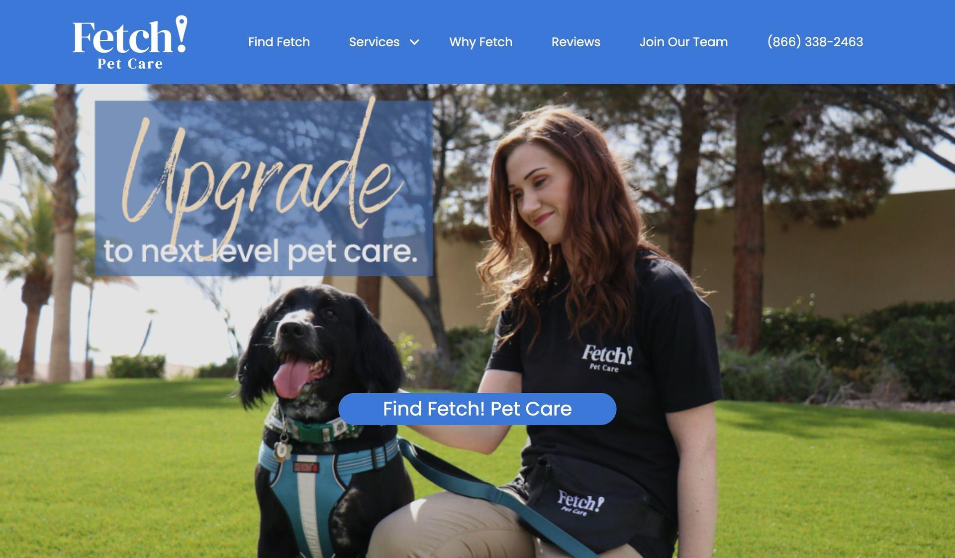 Fetch Pet Care-dog walking website examples