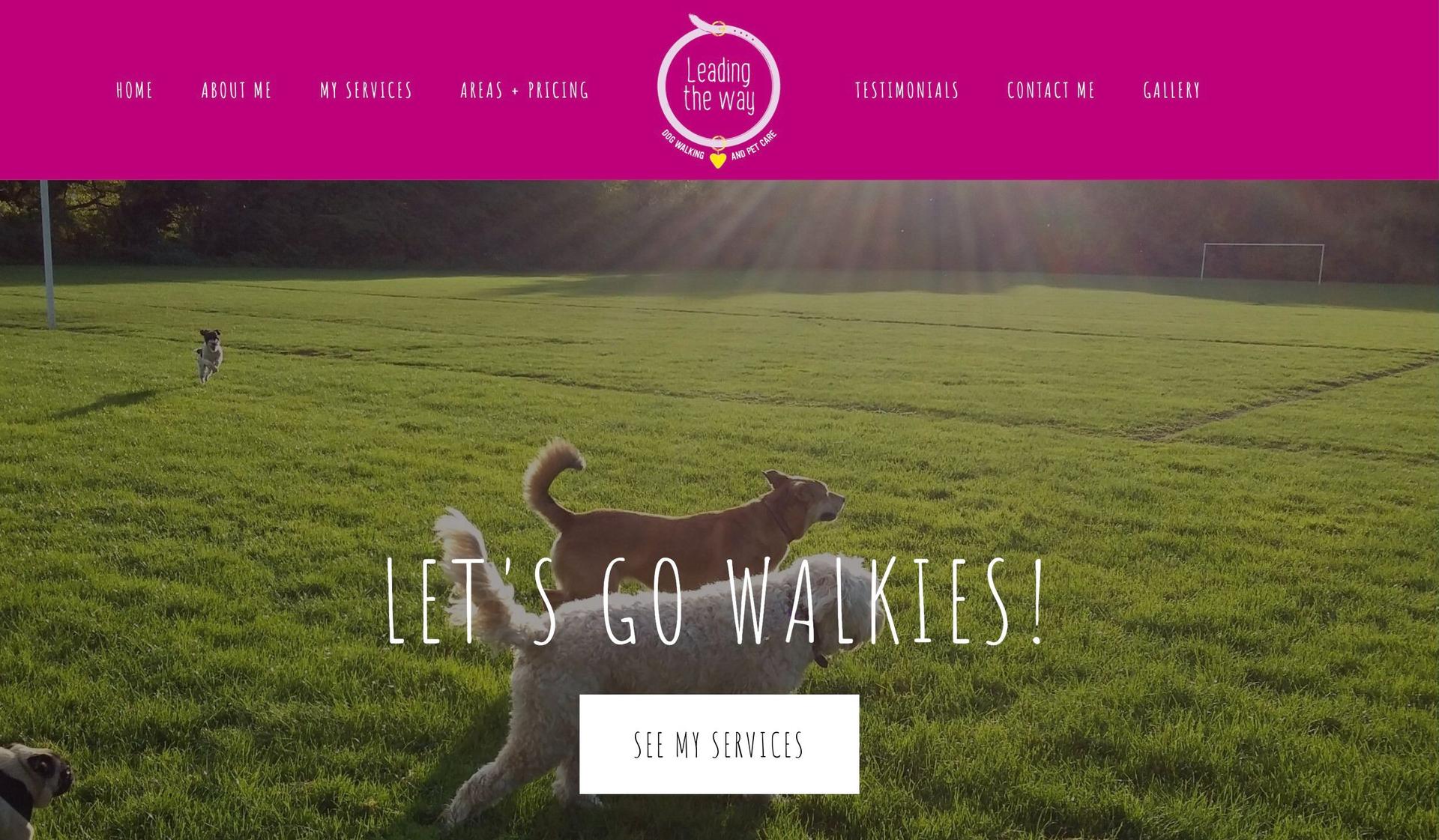 Leading the Way Dog Walking-dog walking website examples
