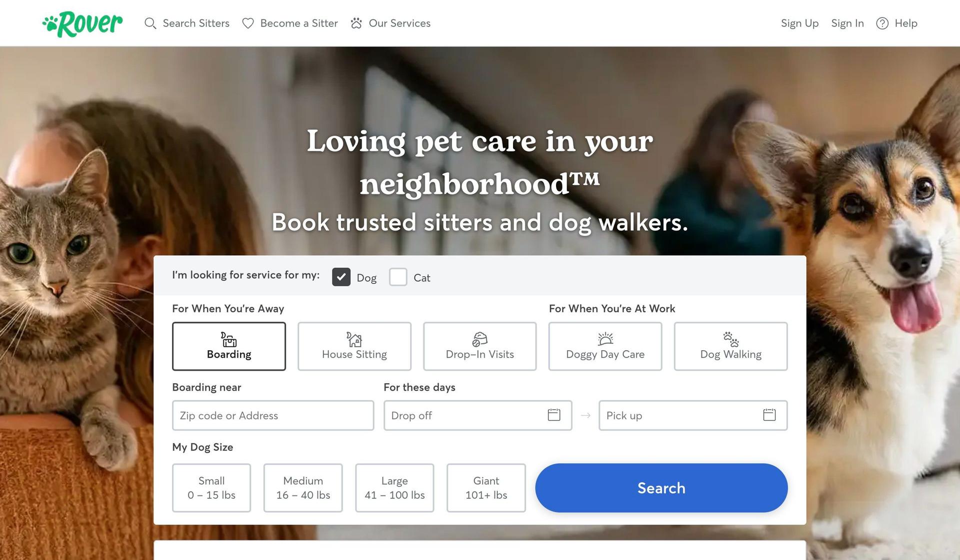 Rover-dog walking website examples