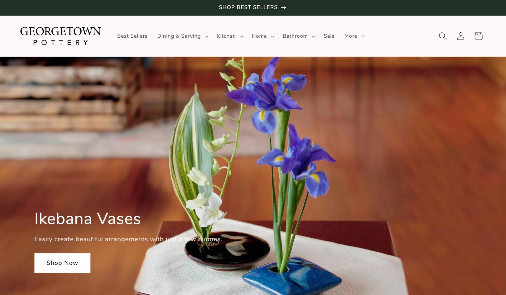 Georgetown Pottery-ceramic store web designs