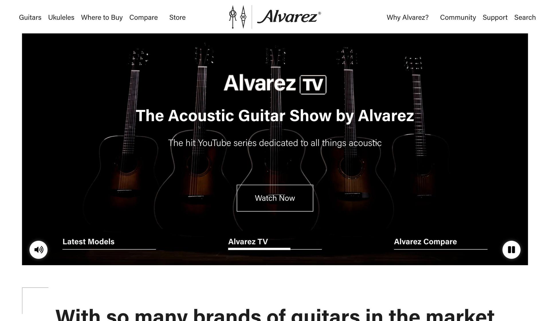 Alvarez Guitars-guitar company web designs
