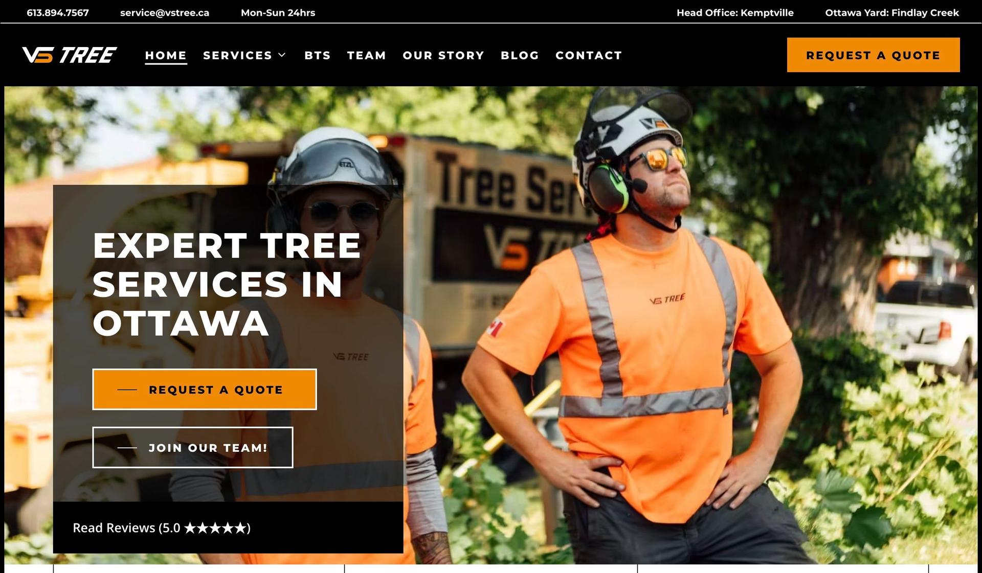 VS Tree Service-tree service websites