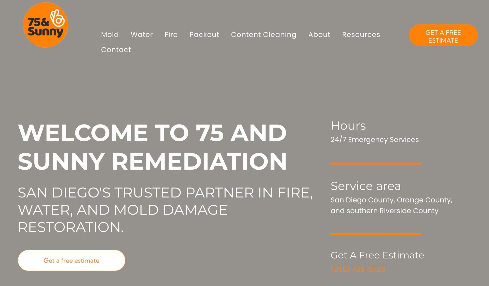 75 and Sunny Remediation-restoration website examples