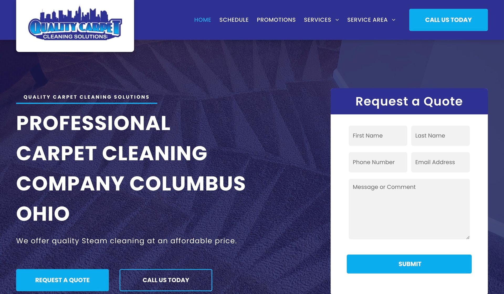 Quality Carpets Cleaning Solutions-carpet cleaning websites