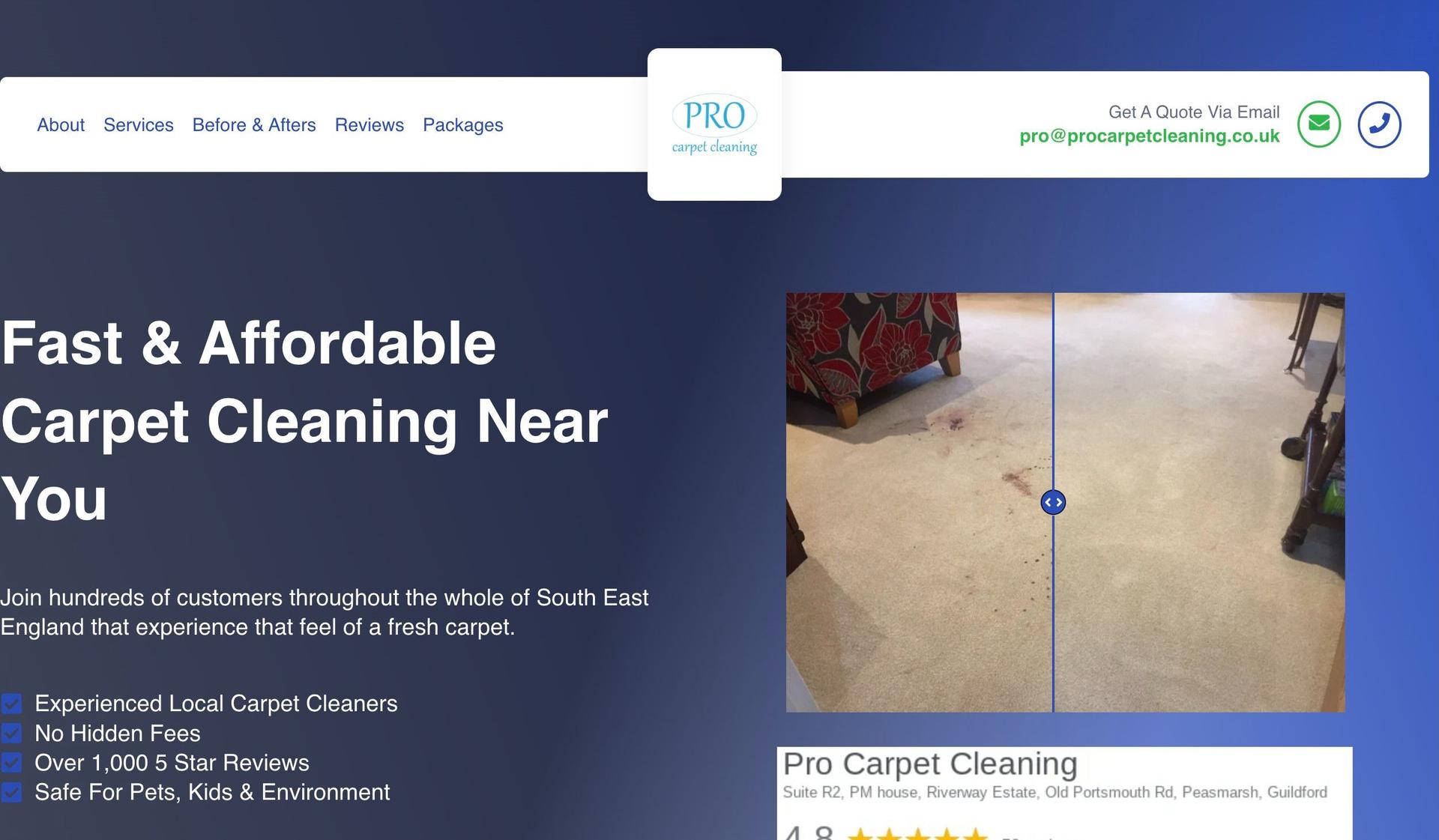 Pro Carpet Cleaning-carpet cleaning websites