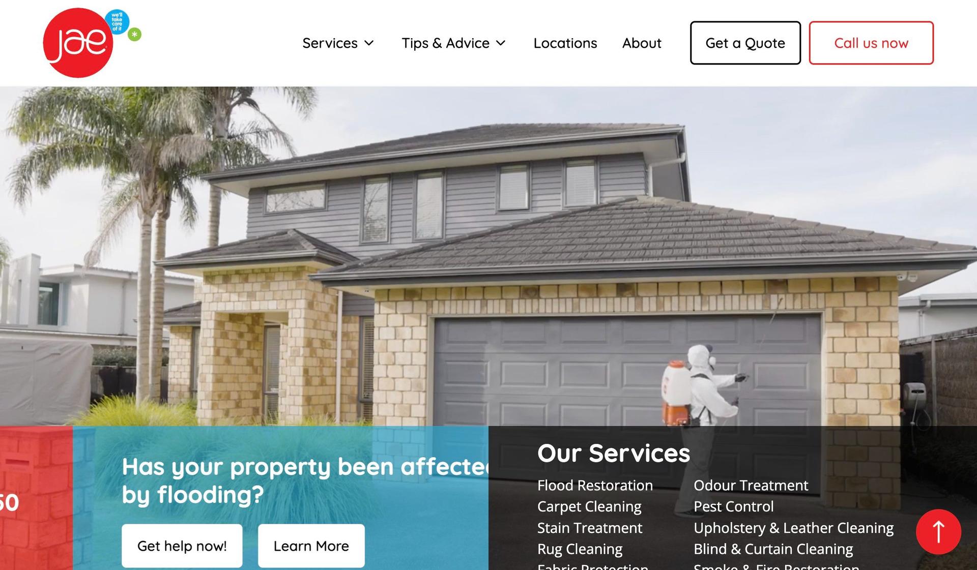 JAE-carpet cleaning websites