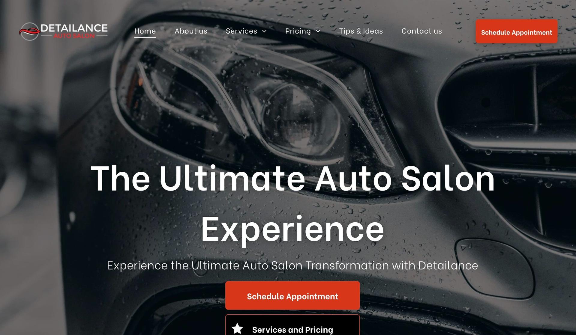 Detailance Auto Salon-auto detailing website designs