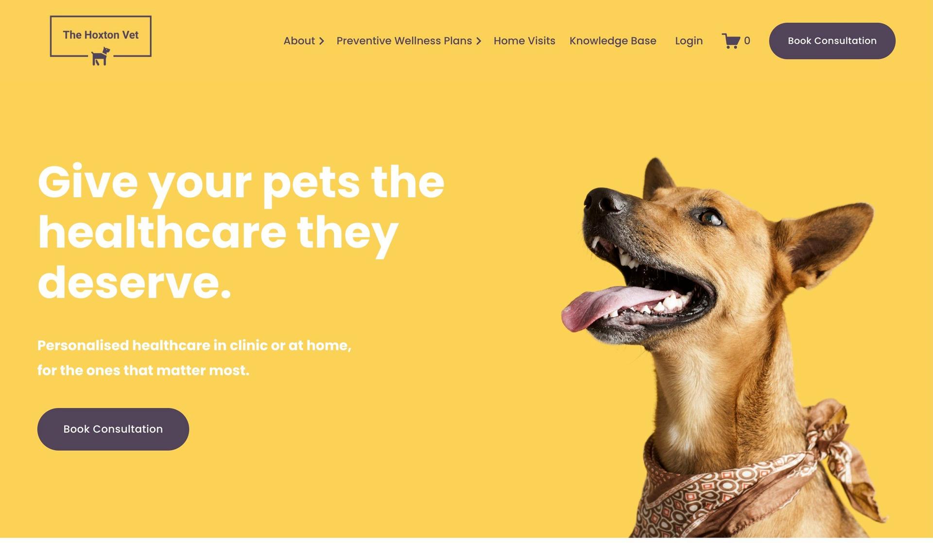 The Hoxton Vet-veterinary websites