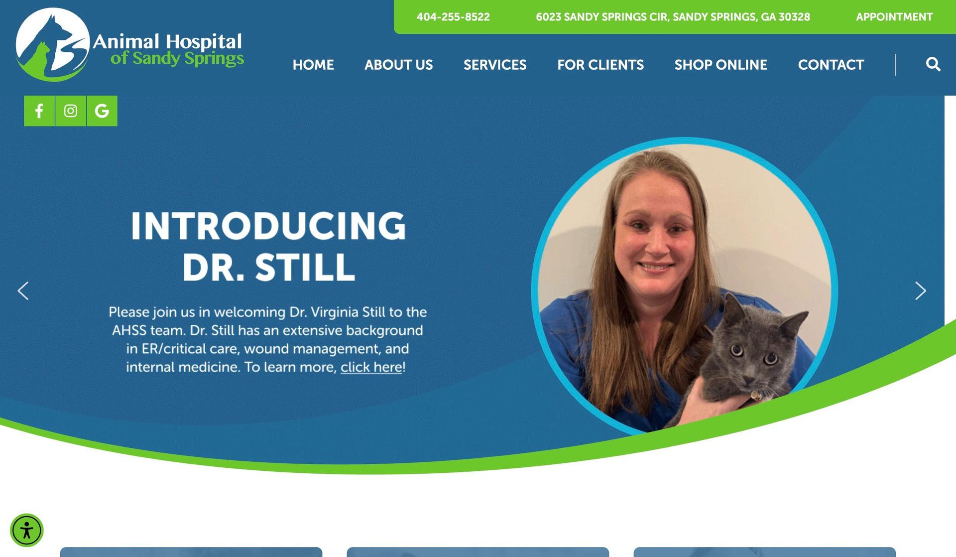 AH Sandy Springs-veterinary websites