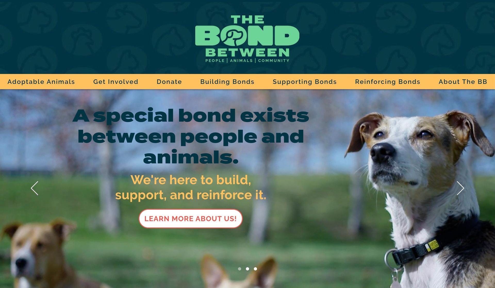 The Bond Between-veterinary websites