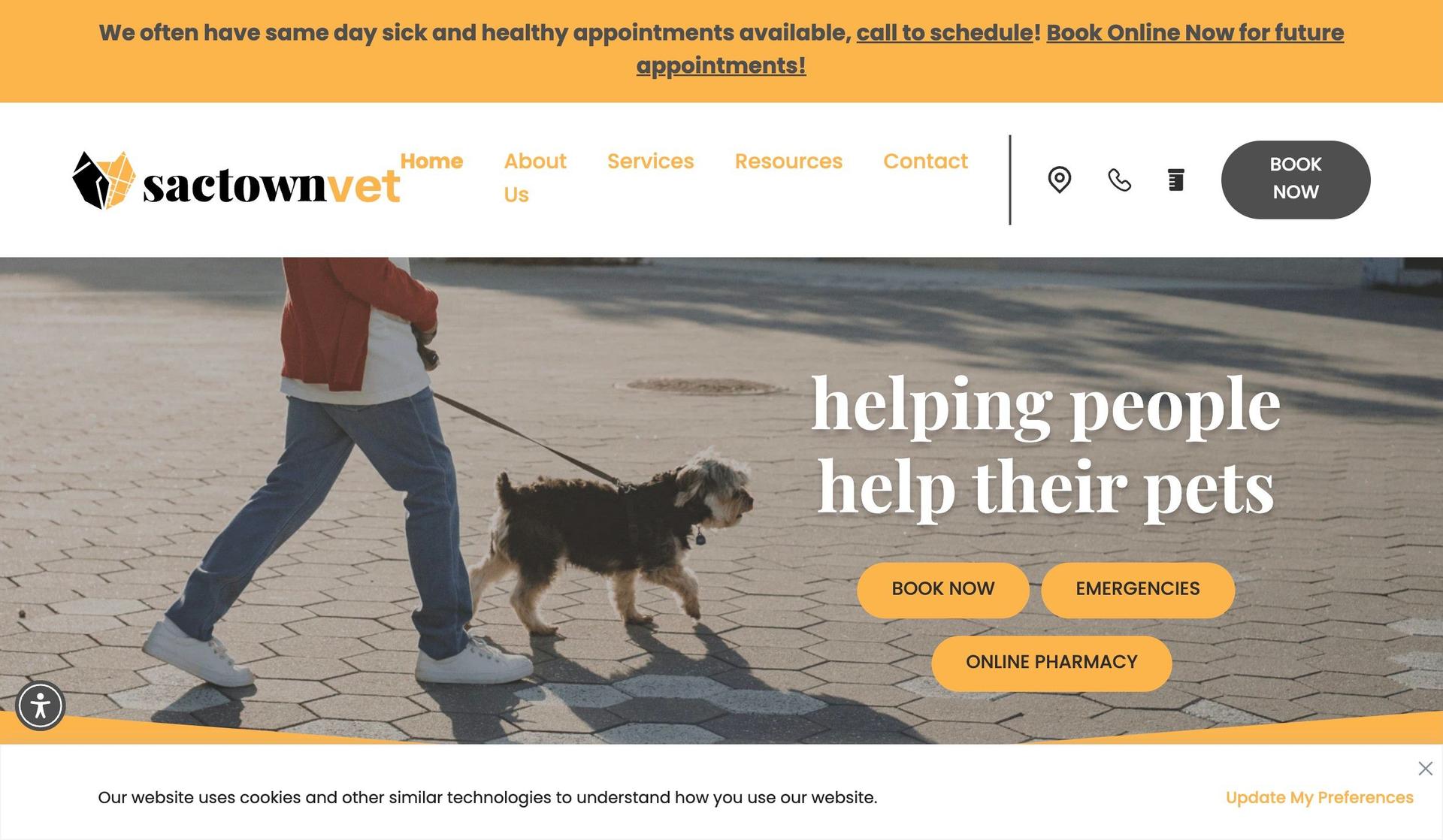 Sactown Vet-veterinary websites