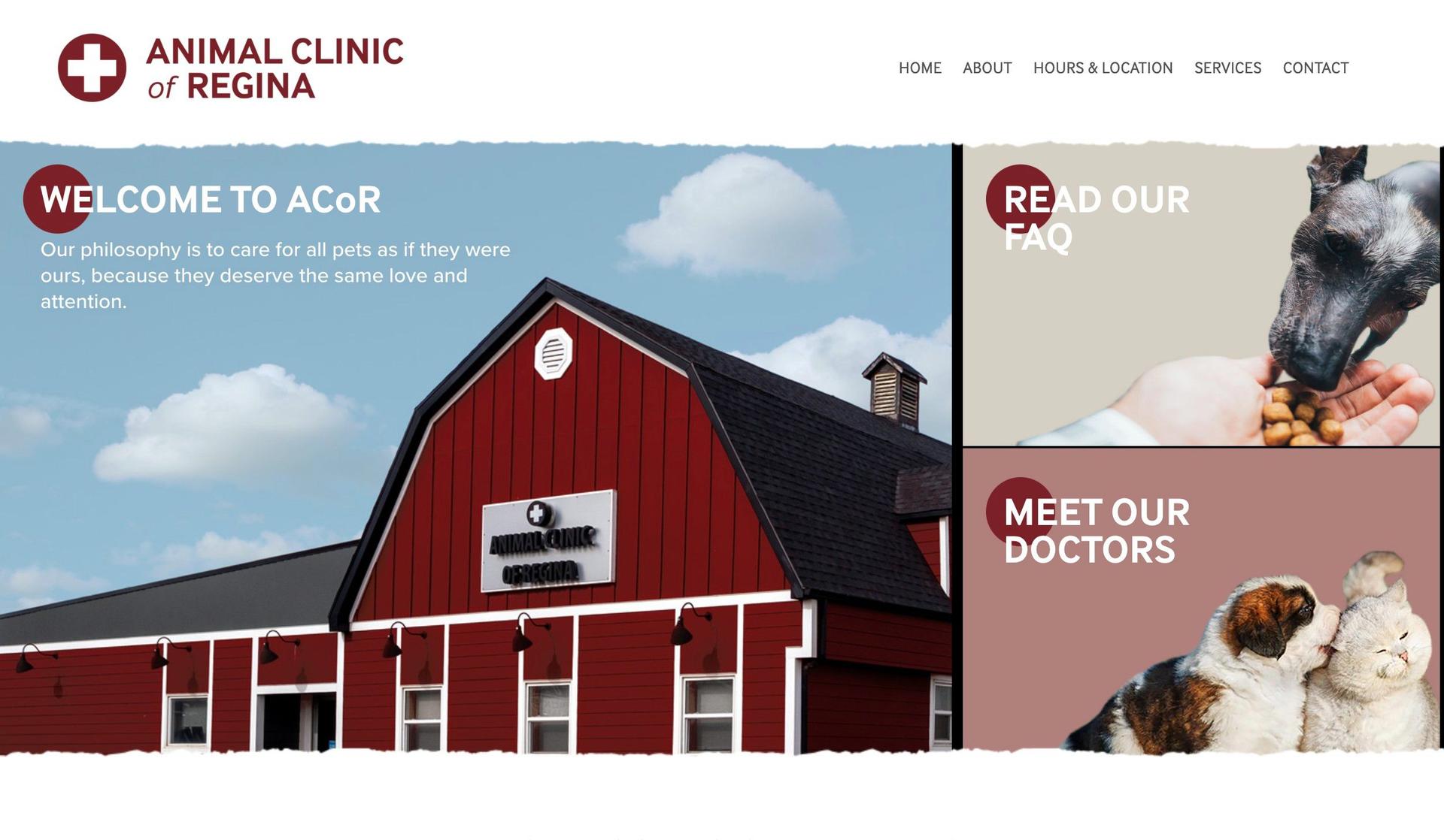 Animal Clinic of Regina-veterinary websites