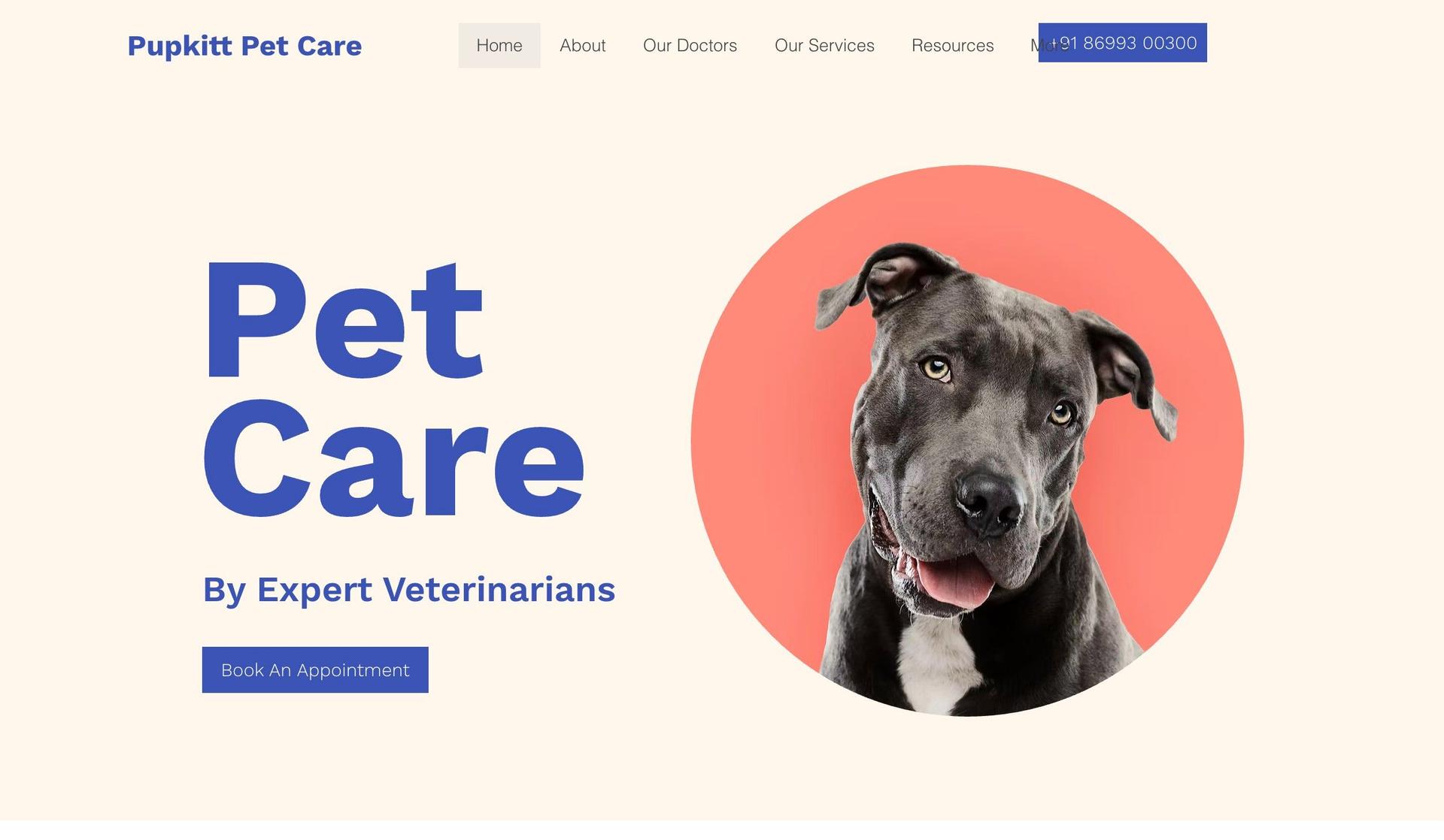 Pupkitt-veterinary websites