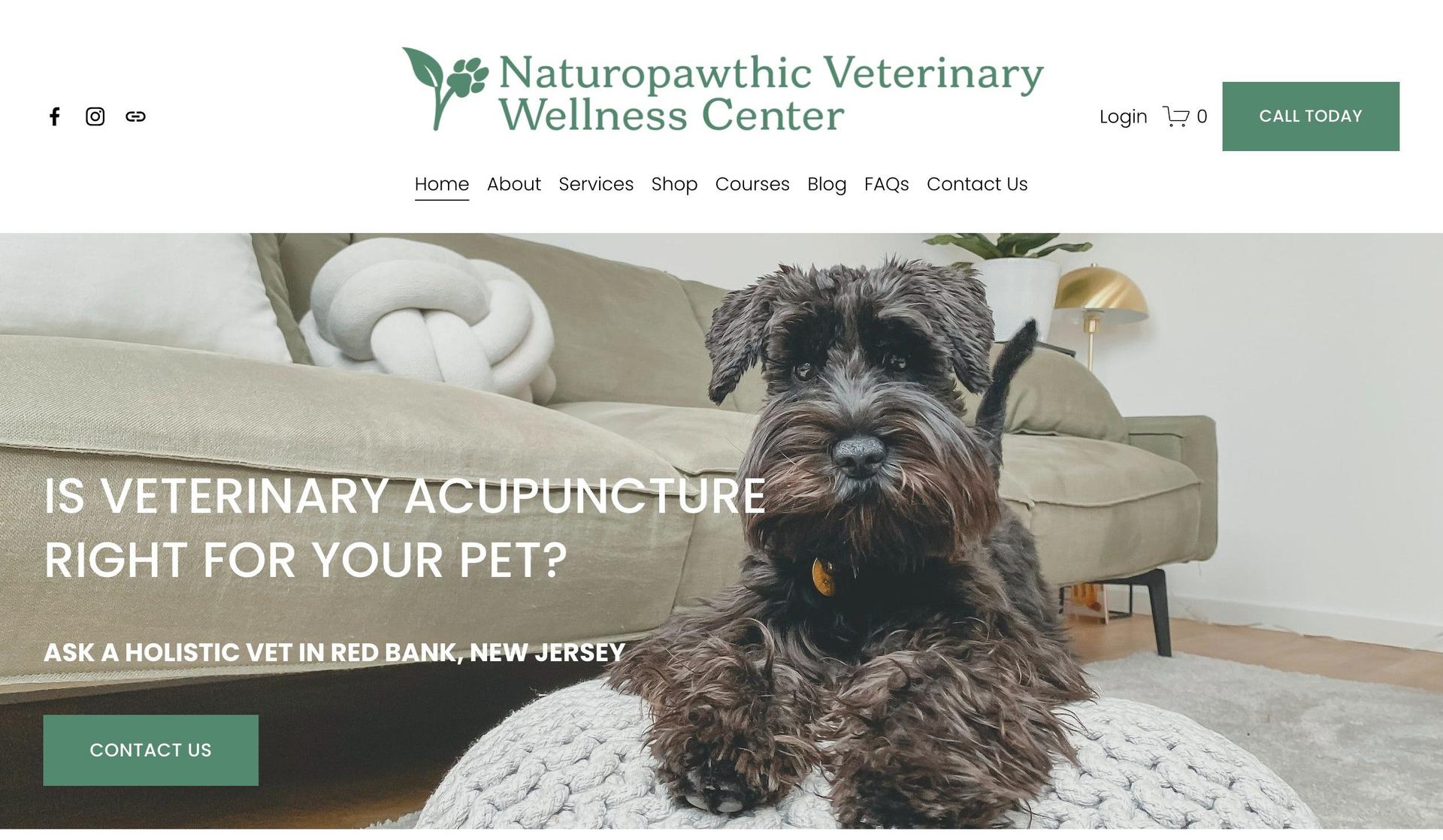 Naturopawthic Vet-veterinary websites