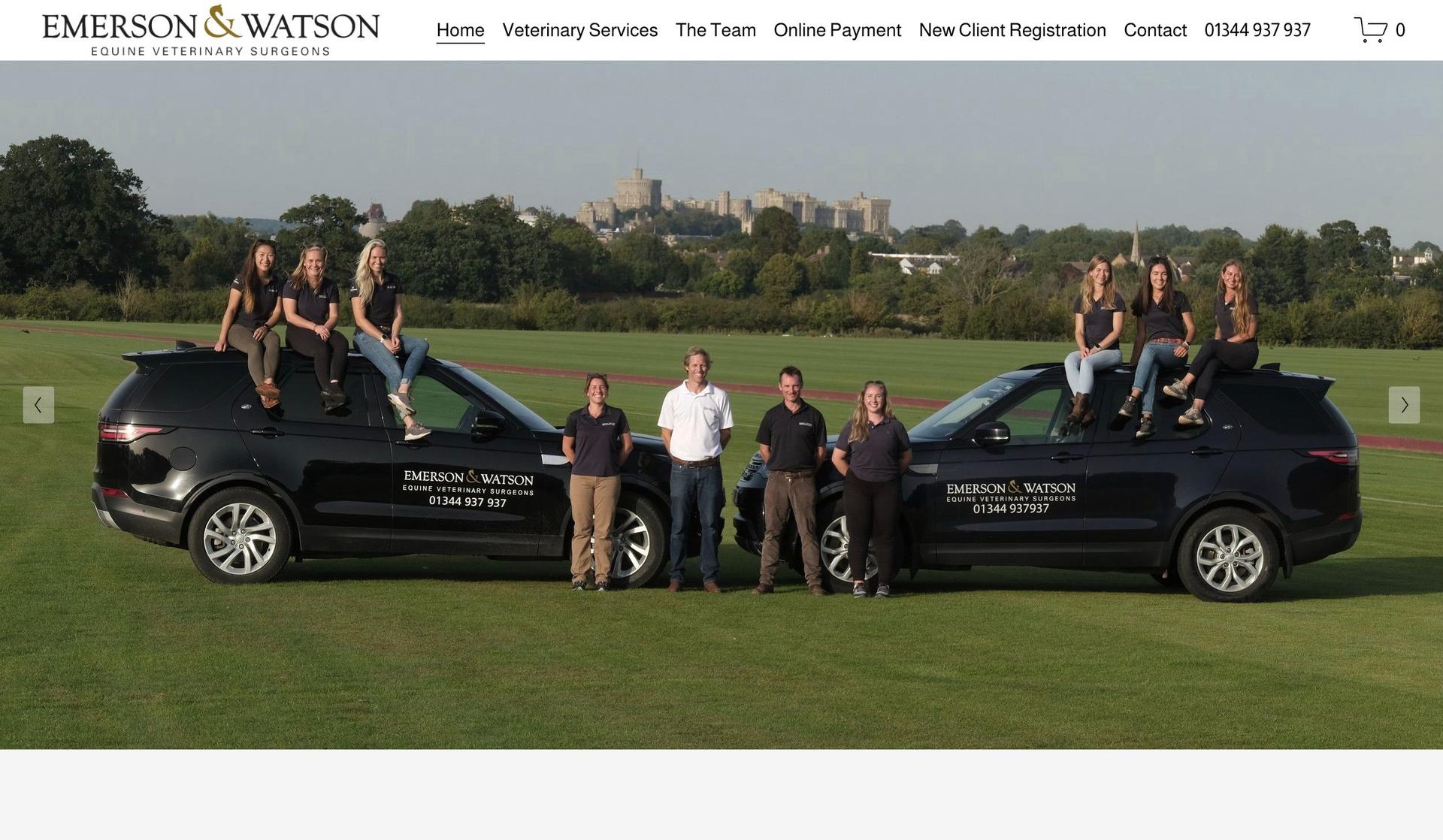 Emerson Watson-veterinary websites
