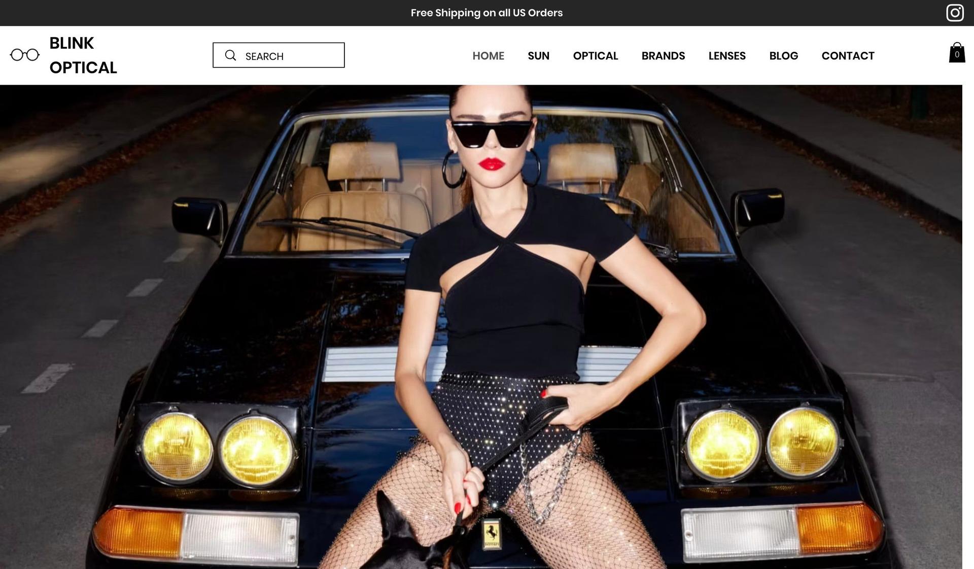 Blink 267-sunglasses website designs