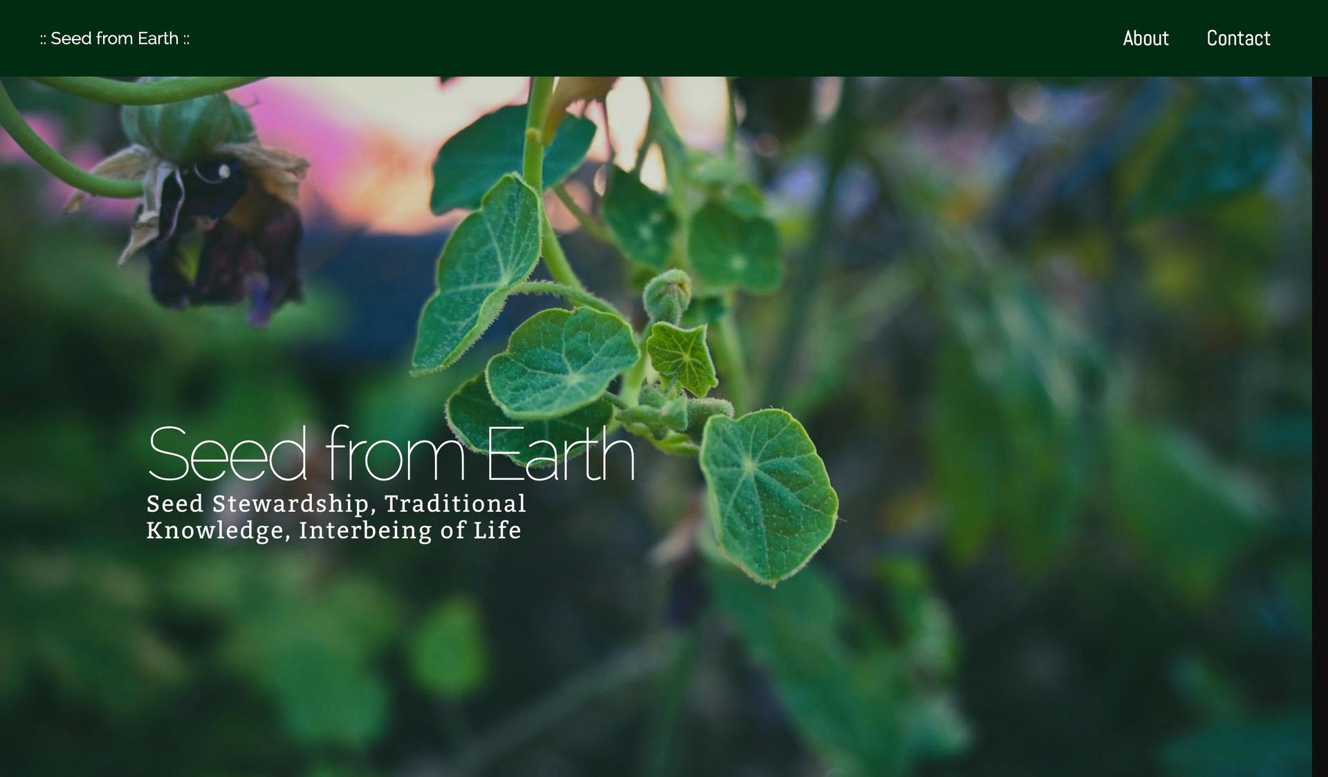 Seed From Earth-+im creator website examples+