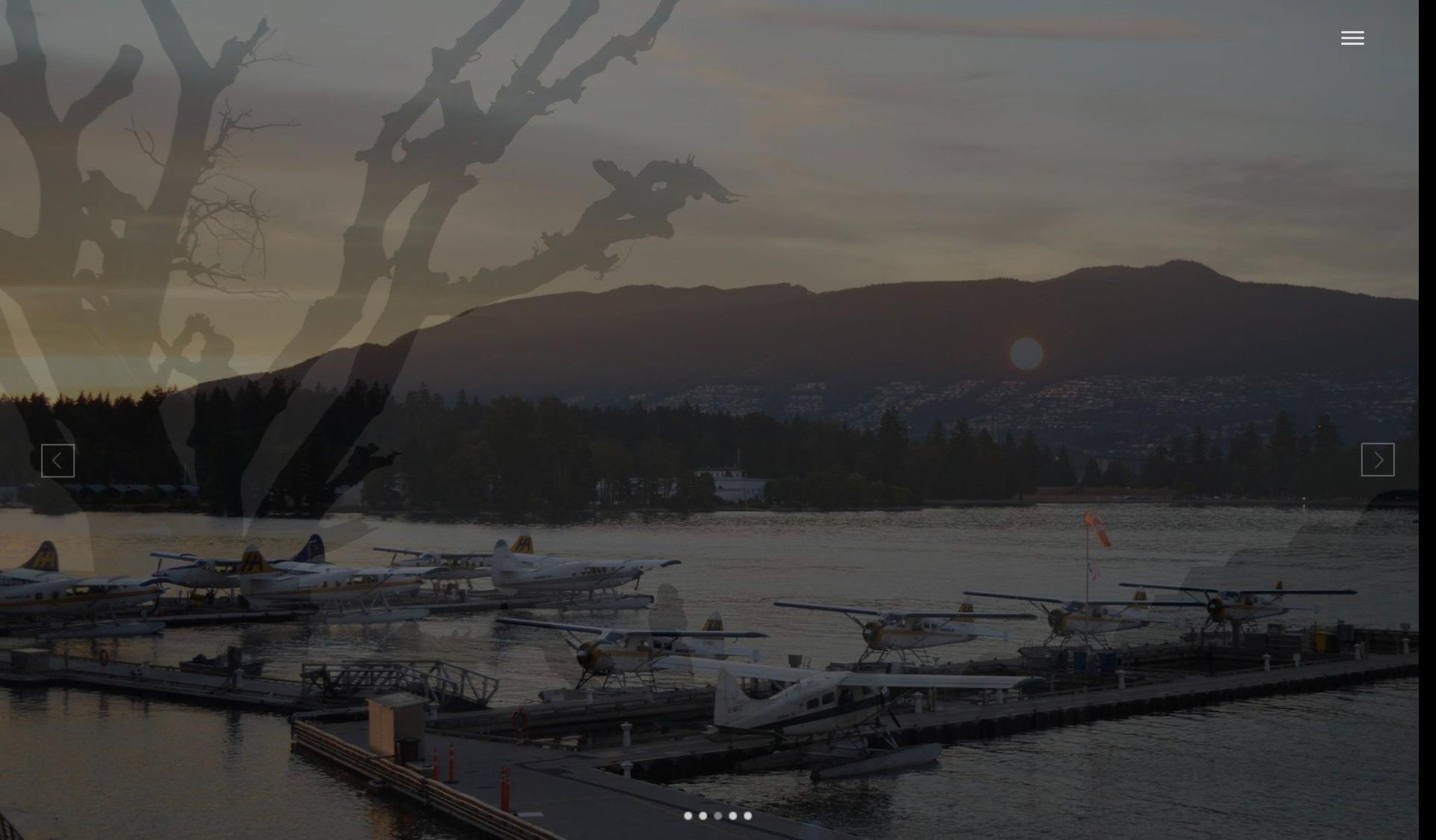 Anchal Goyal-+im creator website examples+